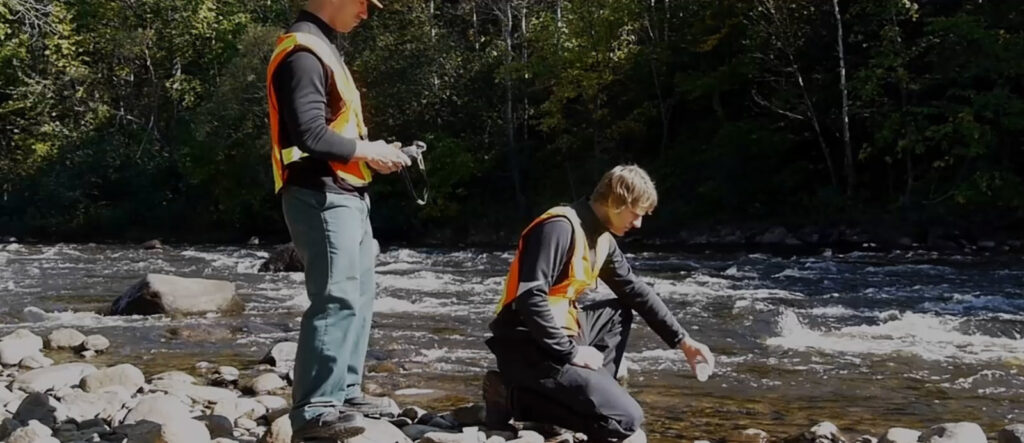 Environmental services